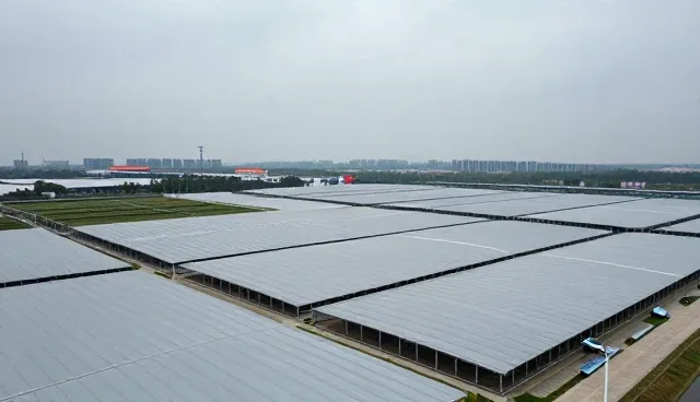 产品兼容在运维托管中的适用边界分析